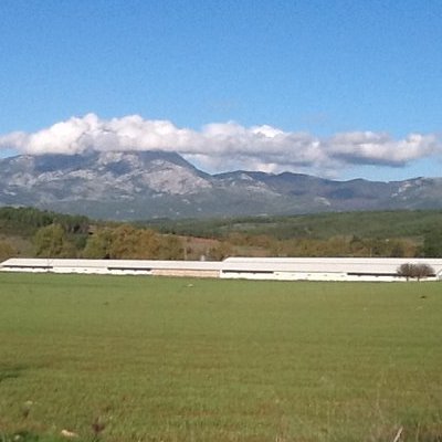 Εξωτερική άποψη πτηνοτροφικής μονάδας